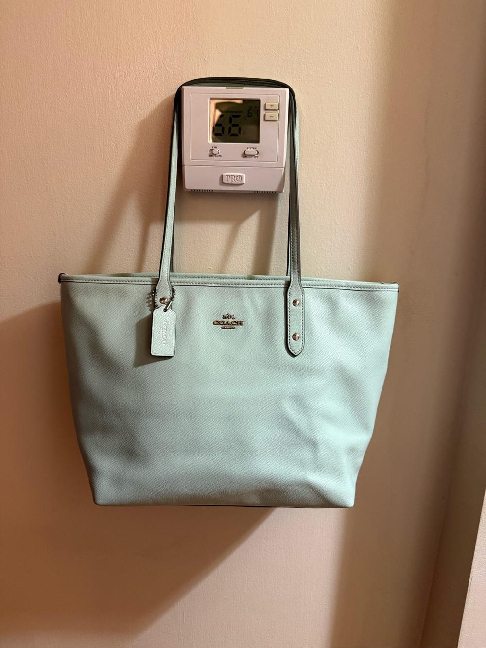 Coach Sea Foam Green Leather Tote